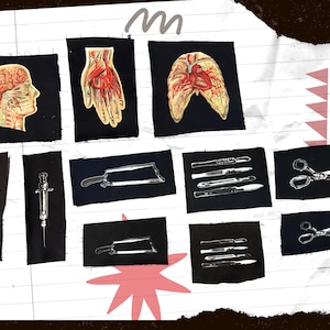 Up-cycled patches, anatomy and medical (READ FULL DESCRIPTION)