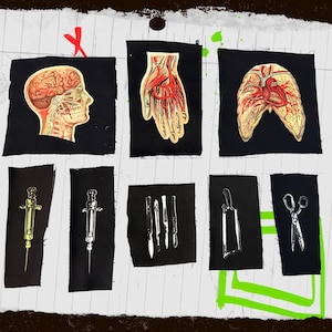 Up-cycled patches, anatomy and medical (READ FULL DESCRIPTION)