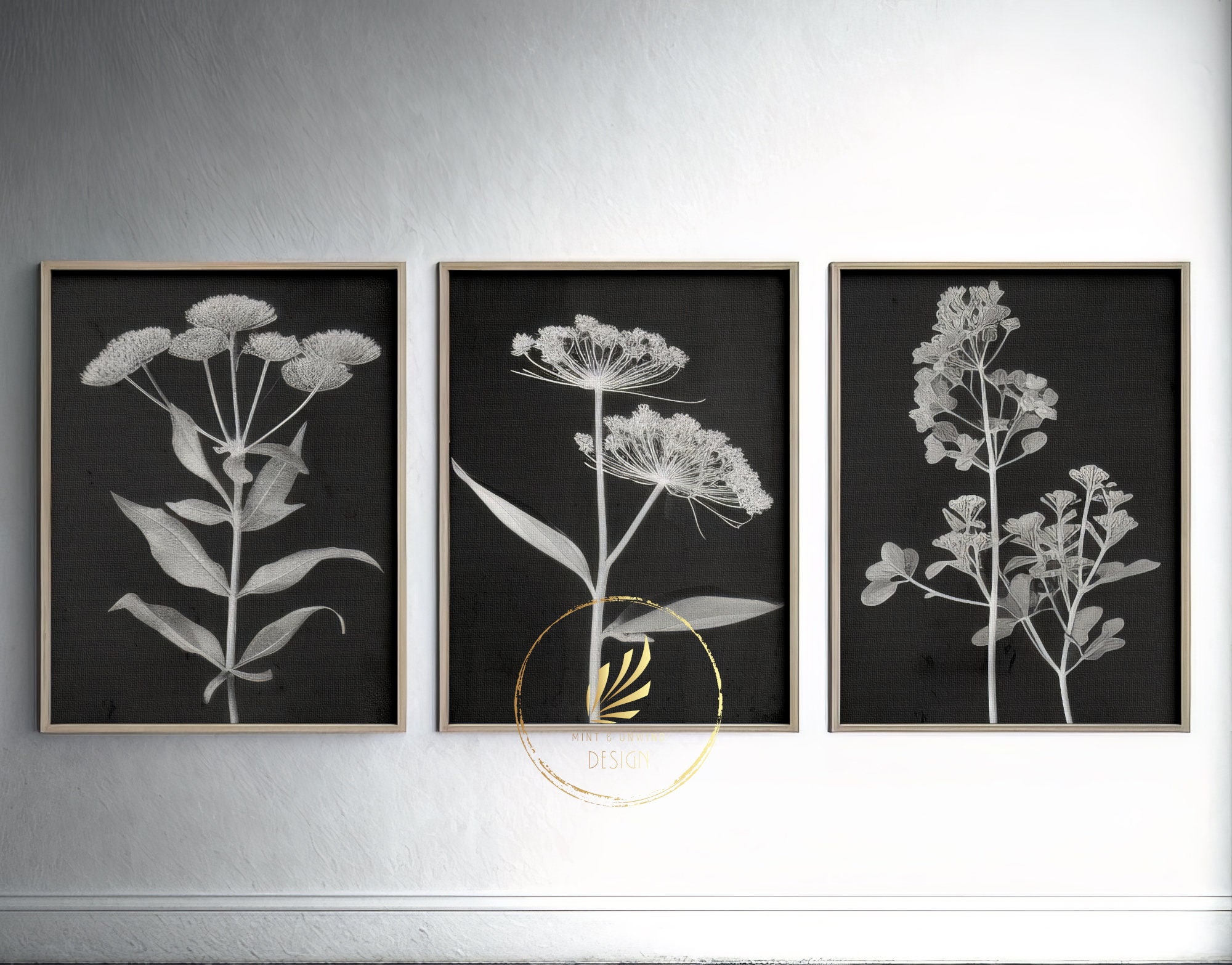 Black and White Wall Art Digital Printable Set of 3 Floral Botanical ...