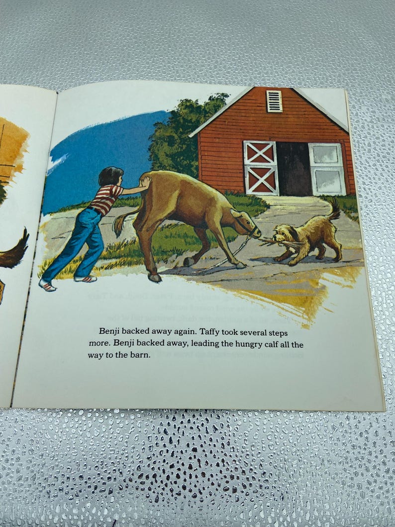 Benji Rope Vintage 1981 Benji and the Tornado Golden Book by Joe Camp – Classic ...