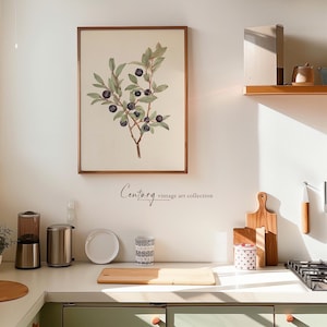 Vintage Printable Art Download | Berry Branch Watercolor | 19th Century Print | Digital Printable Art Download | Antique Farmhouse Wall Art