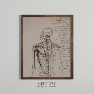 Anatomy of a Skeleton | Vintage Printable Art Download | Dark Academia Moody Illustration Art | Spooky Halloween Gothic Printable Wall Art
