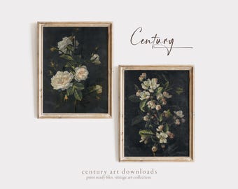 May include: Two framed vintage botanical prints featuring white flowers on a dark background. The prints are titled "Century" and are part of a collection of print-ready files.