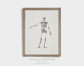 May include: A vintage anatomical illustration of a human skeleton in a simple black and white drawing style. The skeleton is standing with its arms outstretched. The image is framed in a light brown wood frame.
