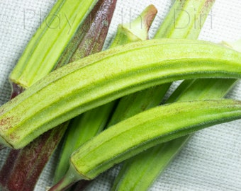 Okra Seed, Red/Green Okra, Grown and Harvested in Florida, 25 seeds
