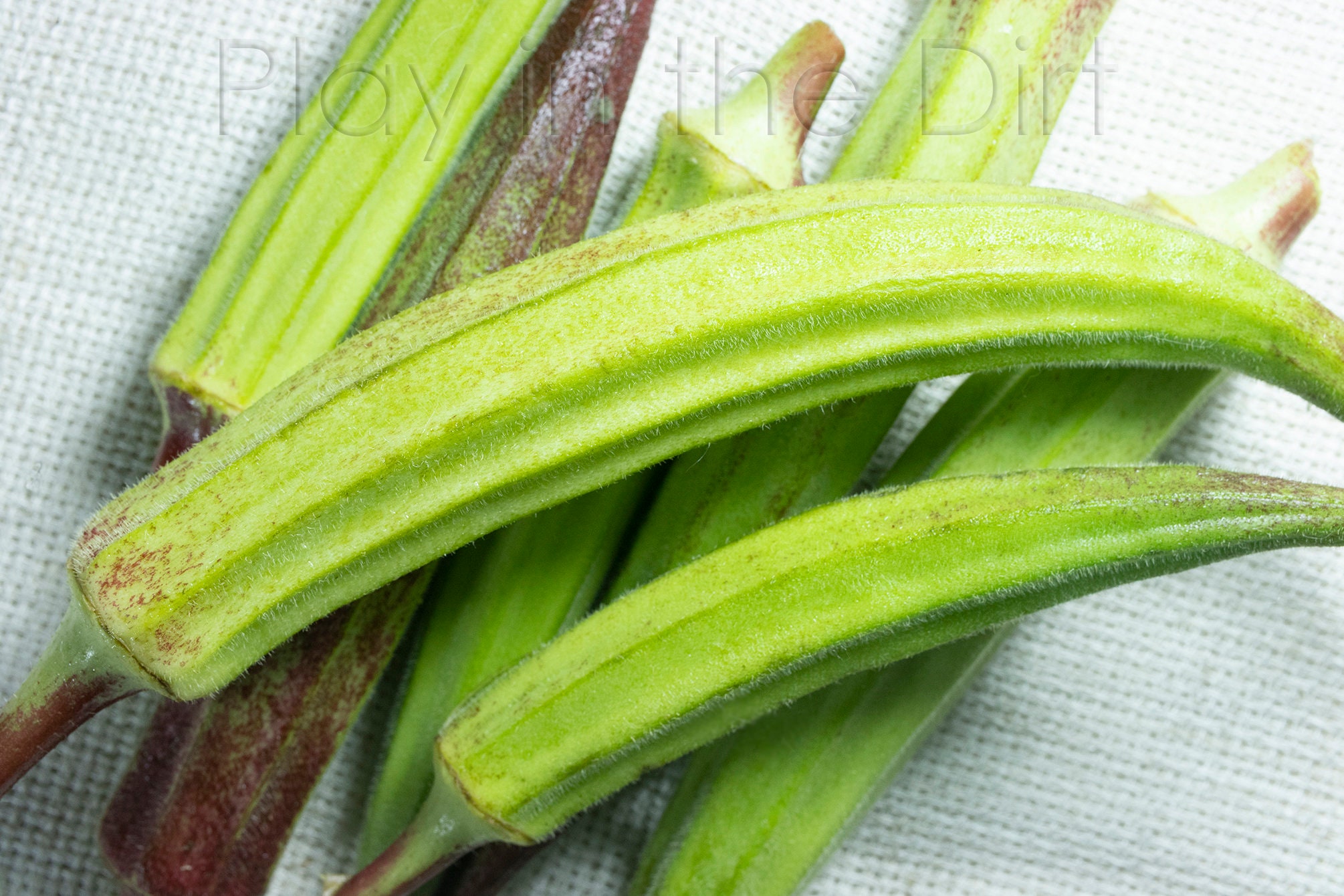 Okra Seed, New From 2023, Red/green Okra, Grown and Harvested in