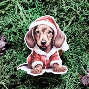 Children's dachshund pyjamas new arrivals