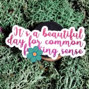 Pegatina "Es un buen día para el sentido común", divertida calcomanía de vinilo para portátil, botella de agua y Kindle.