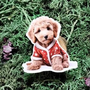 Labradoodle clothes outlet