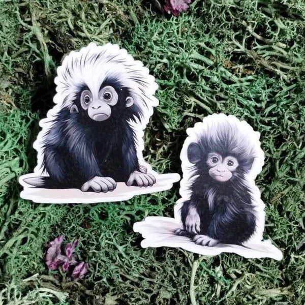 Cheeky Monkey Duo Sticker Set | vinyl sticker | die cut sticker | scrapbook | junk journal | cute | planner | journal | tumbler | laptop