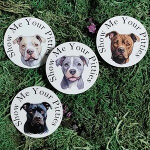 May include: Four round stickers with a white background and black text that reads "Show Me Your Pitties". Each sticker features a different breed of Pit Bull Terrier.