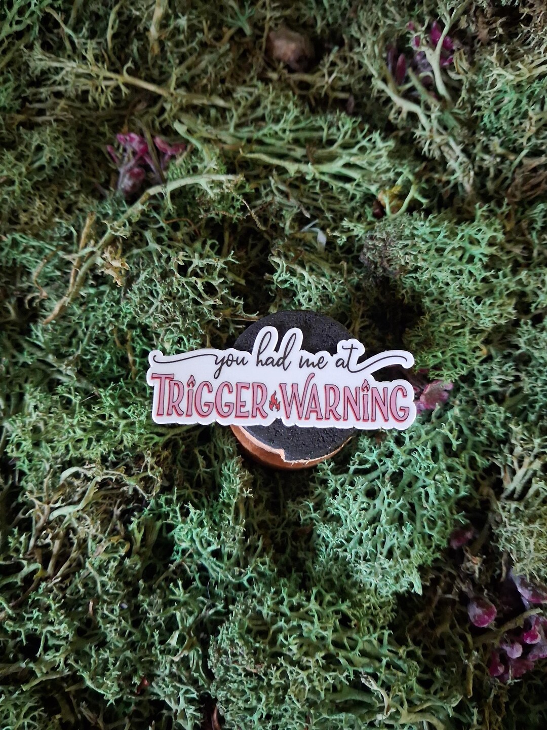 You Had Me at Trigger Warning Sticker | Bookish Die-cut - Etsy