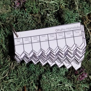 May include: A color swatch card from Ohuhu Honolulu, featuring a variety of yellow hues. The card includes color names like "Lemon Mist," "Lemon Chiffon," and "Bright Lemon Yellow." The card is held together by a metal ring and rests on a bed of green moss.