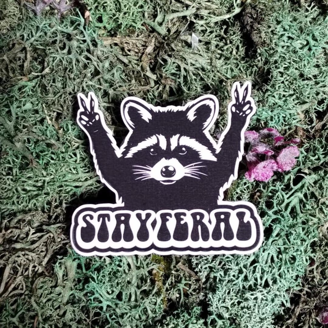 Feral Sticker Stay Feral Raccoon Sticker - Etsy