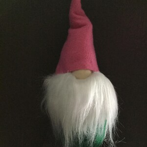 Spring Gnome