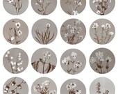 Minimal white instagram highlights. floral highlight covers. beige aesthetic highlight cover. neutral instagram highlights.