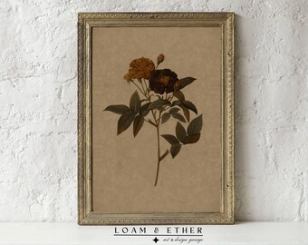 flower art print. blossom art. rose vintage art. vintage composite art. farmhouse print. botanical print. cottage core decor. RA43