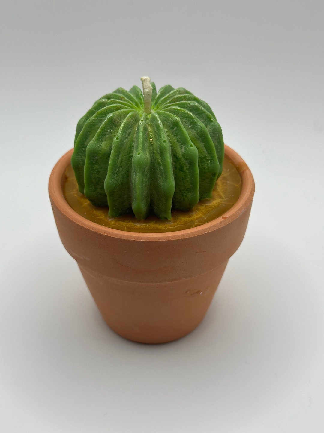 Realistic Potted Barrel Cactus Candle Scented Candles Soy Wax