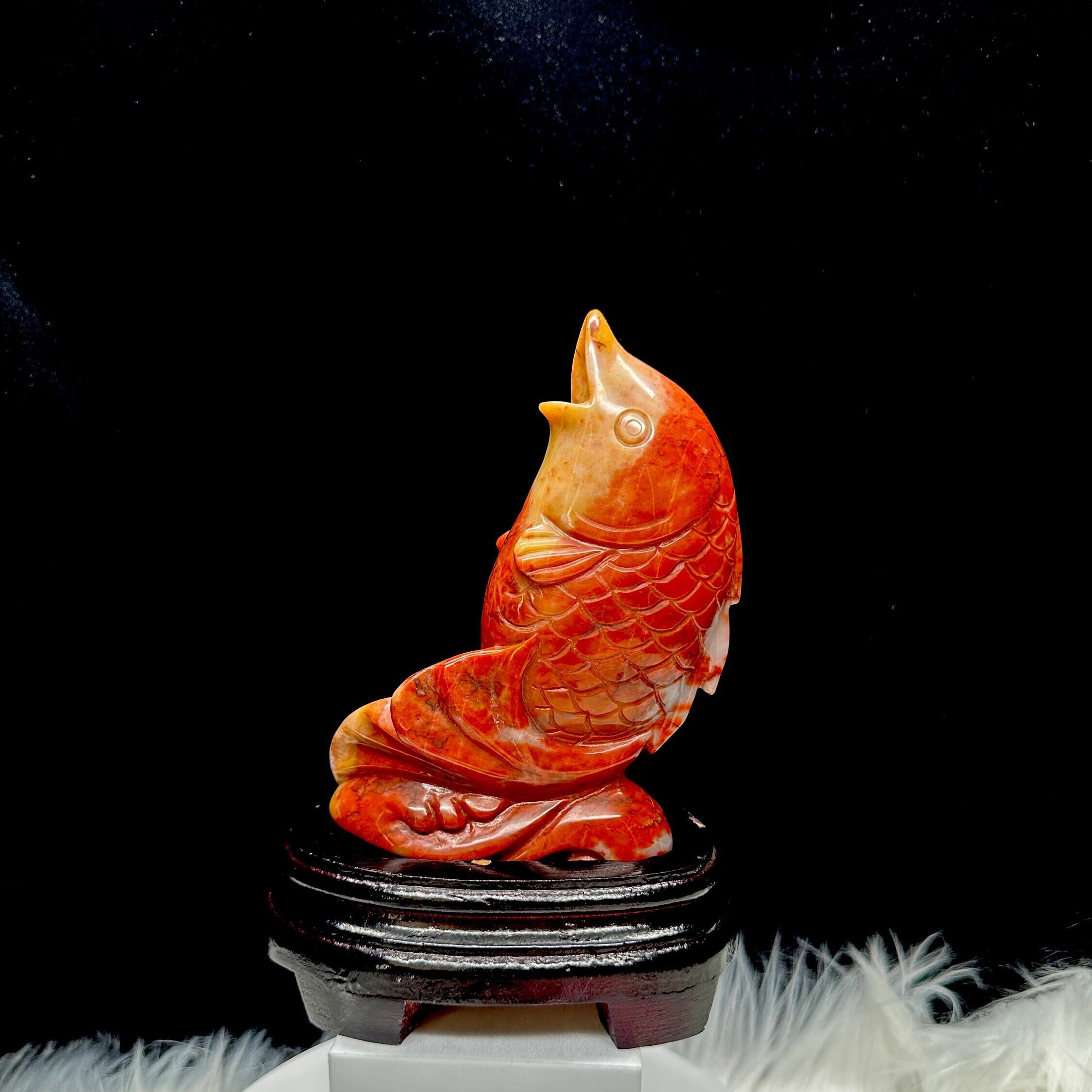 Koi Fish Carved Wood Keepsake Box - glwec.in