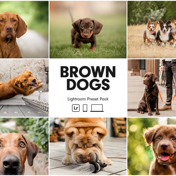 10 Ajustes preestablecidos de Lightroom para PERROS MARRONES / Ajustes preestablecidos para perros / Ajustes preestablecidos para mascotas / Ajustes preestablecidos para mascotas de Instagram Bright Clean / Mejores ajustes preestablecidos para perros / Ajustes preestablecidos para perros marrones