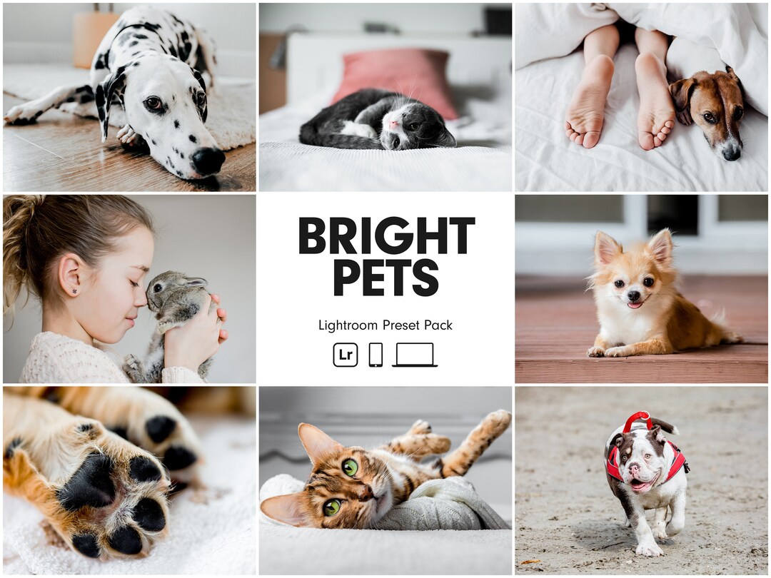 10 BRIGHT PETS Lightroom Presets Dog Presets Pet Presets Bright Clean