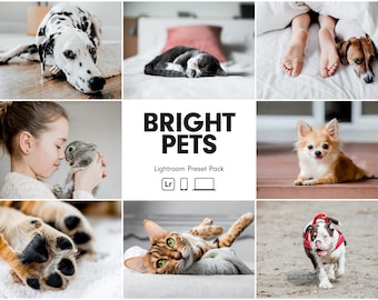 10 BRIGHT PETS Lightroom Presets | Dog Presets | Pet Presets | Bright Clean Instagram Pet Presets | Pet Photo Editing | Best Dog Presets