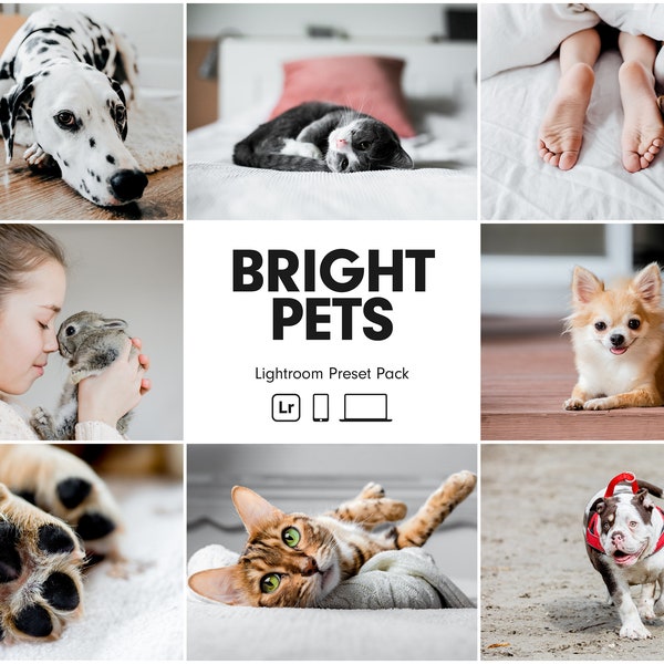 10 HELDERE DIEREN Lightroom-voorinstellingen | Voorinstellingen voor honden | Voorinstellingen voor huisdieren | Heldere schone Instagram huisdiervoorinstellingen | Fotobewerking van huisdieren | Beste hondenvoorinstellingen