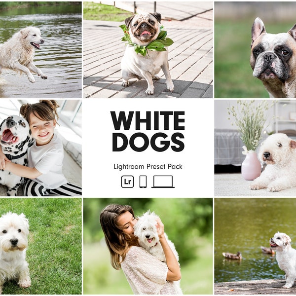 10 Préréglages Lightroom CHIENS BLANCS | Préréglages de chien | Préréglages pour animaux de compagnie | Préréglages pour animaux de compagnie Instagram Bright Clean | Retouche de photos d'animaux | Meilleurs préréglages pour chiens