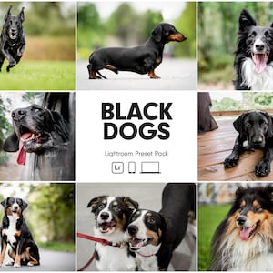 10 BLACK DOGS Lightroom Presets | Dog Presets | Best Pet Presets | Bright Clean Instagram Presets | Pet Photo Editing | Black Dogs Presets