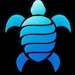 Hyturtle Drinkware