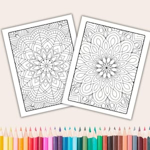 May include: Two black and white mandala coloring pages with intricate designs. The pages are printed on white paper and are ready to be colored.