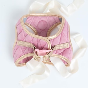 Luxury dog harness made with rose velvet and gold eco leather. Ideal harness if you need a chihuahua harness, or pink dog harness set