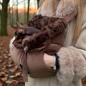 May include: A brown pet carrier with a faux fur lining, holding a small brown and black dog. The carrier is held by a person wearing a light brown coat with faux fur trim. The dog is nestled inside the carrier.