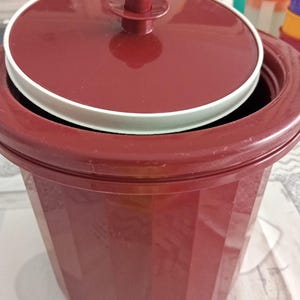 Può includere: Un contenitore in plastica bordeaux con coperchio abbinato e bordo bianco. Il coperchio ha una maniglia centrale. Il contenitore ha un esterno scanalato. Altri contenitori sono visibili sullo sfondo.