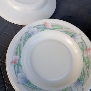 Arcopal vintage soup plates