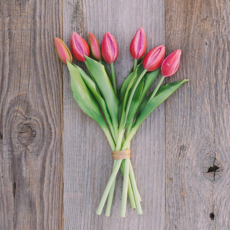 May include: A bouquet of pink and red tulips with green leaves, tied together with a brown band, rests on a weathered wooden surface. The tulips are in full bloom, showcasing their vibrant colors.