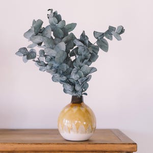 Eucalyptus branches | Dried flowers | Dried flower DIY | Preserved eucalyptus | Dried preserved | Dried flower decoration | Bouquet