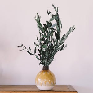Könnte beinhalten: Dekorative Vase mit runder Form und Farbverlauf von Braun über Gelb nach Weiß. Sie enthält einen Bund grüner Olivenzweige mit langen, schmalen Blättern. Die Vase steht auf einer Holzoberfläche.