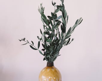 Olivenzweige | getrocknet konserviert | Bund | Trockenblumendeko | Blumenstrauß | Trockenblumen DIY