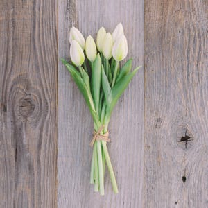 May include: A bouquet of white tulips with green leaves, tied with twine, rests on a weathered, gray wooden surface. The tulips are in full bloom, showcasing their delicate petals. The natural light enhances the soft colors.