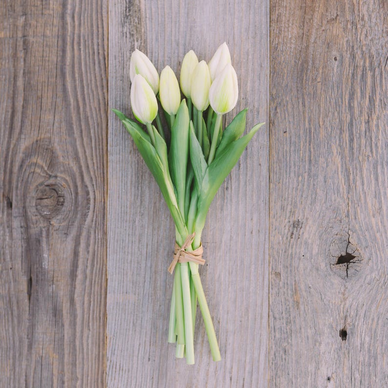 May include: A bouquet of white tulips with green leaves, tied with twine, rests on a weathered, gray wooden surface. The tulips are in full bloom, showcasing their delicate petals. The natural light enhances the soft colors.