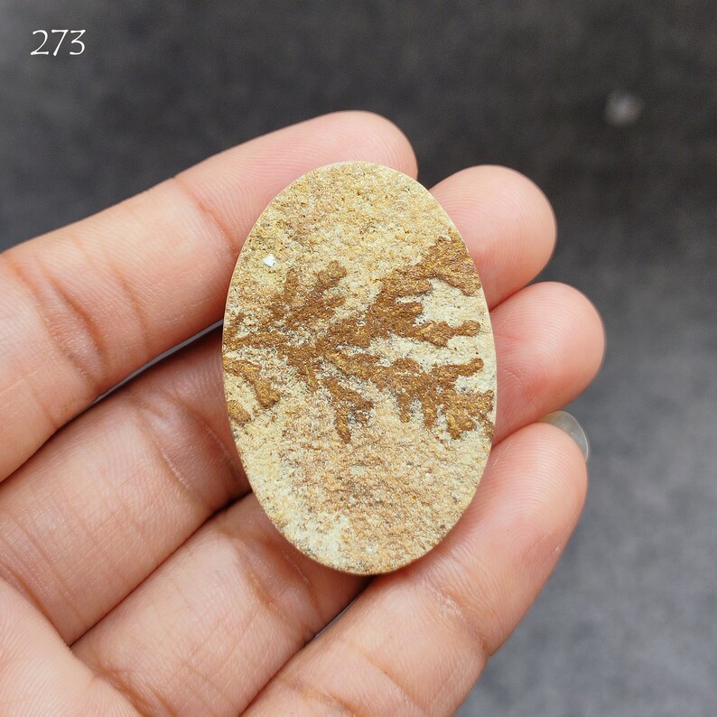 May include: A close-up of a light brown oval-shaped stone with a brown dendritic pattern resembling a fern. The stone is being held in a hand.