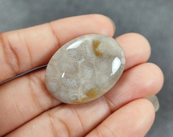 Natural Fossil Coral Cabochon, Fossil Coral Cabochon, Fossil Coral Loose Gemstone For Jewelry Making Semi-Precious Stone
