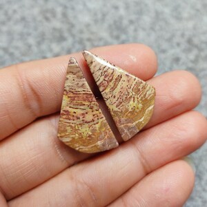 May include: Two triangular shaped, brown, yellow, and white patterned stone cabochons.