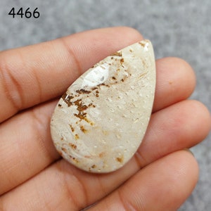 Rare Natural Petrified Palm Wood Stone! Wholesale Loose Petrified wood Cabochon - Designer Petrified Wood Cabs - Gemstone For Making Jewelry