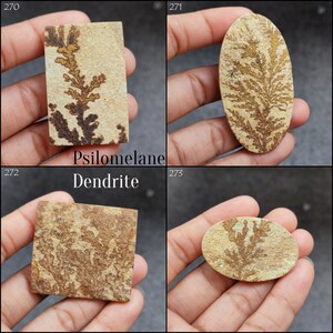 May include: Four close-up images of different types of dendrite, a mineral formation that resembles a tree or fern. The dendrites are brown and gold in color and are set against a light brown background. The images are labeled with the numbers 270, 271, 272, and 273. The word "Psilomelane" is written below the first image, and the word "Dendrite" is written below the second image.