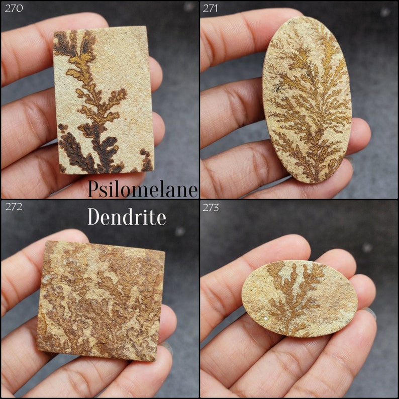May include: Four close-up images of different types of dendrite, a mineral formation that resembles a tree or fern. The dendrites are brown and gold in color and are set against a light brown background. The images are labeled with the numbers 270, 271, 272, and 273. The word "Psilomelane" is written below the first image, and the word "Dendrite" is written below the second image.