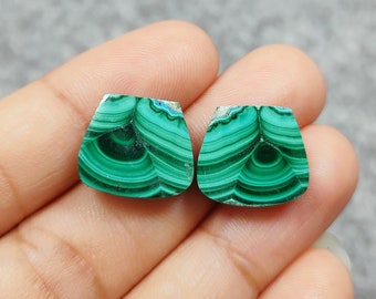 Puede incluir: Dos cabujones de malaquita verde y azul con un patrón de bandas. Los cabujones están cortados en forma cuadrada con esquinas redondeadas. Los cabujones miden aproximadamente 2,5 cm de tamaño.