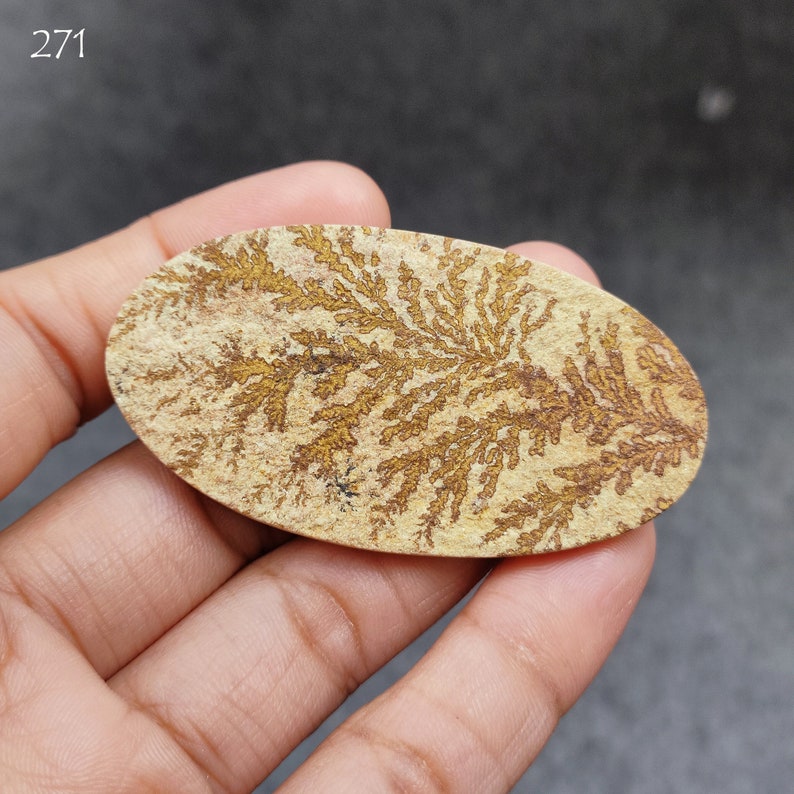 May include: A close-up of a light brown oval-shaped stone with a fern-like pattern in gold. The stone is being held in a hand.