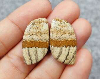 Puede incluir: Dos cabujones de forma de lágrima con patrones marrones, blancos y beige. Los cabujones se sostienen en una mano.